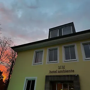 https://hotel-ambiente.topcolognehotels.com